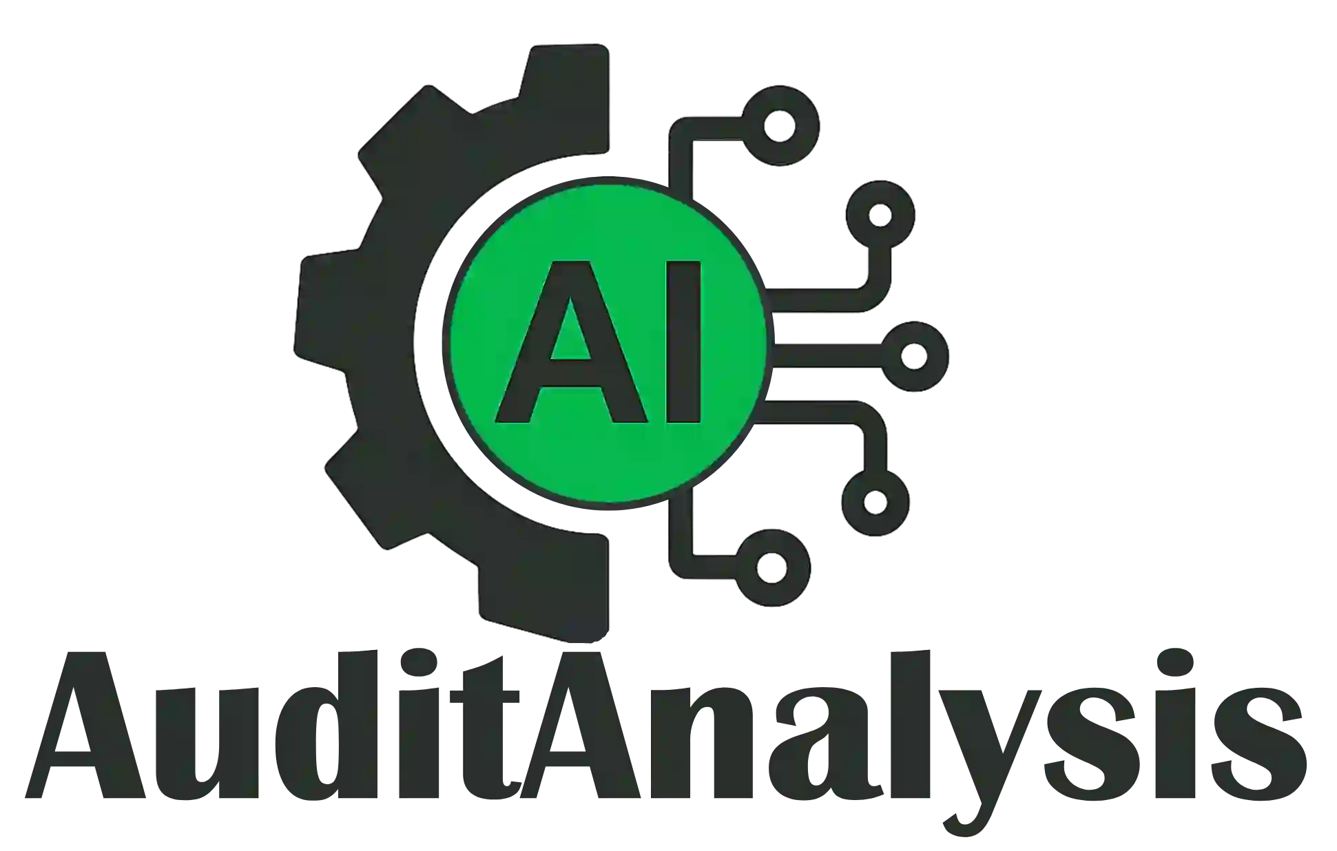 AI Audit Analysis
